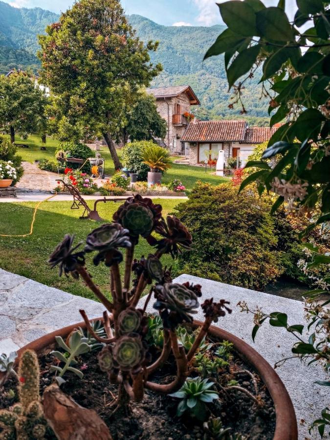 La Volta - Lake Como Heritage Home In Molino Maufet Watermill - Patio On The Garden Colico Eksteriør billede
